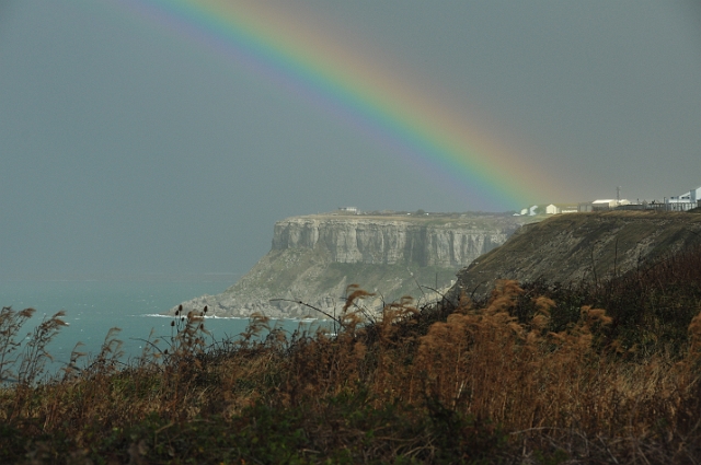 11 10 14_9333.JPG - PORTLAND BILL, DORSET - 11.10.14